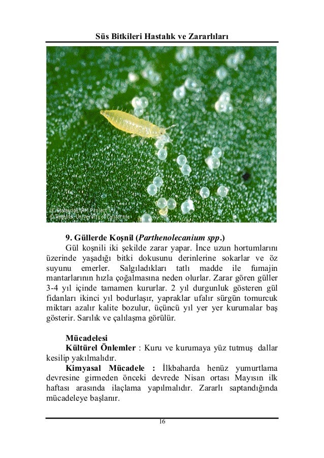 Bir degrade nedir Degradelerin türleri Bir degrade nedir Degradelerin türleri